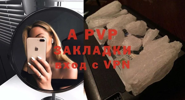 стаф Баксан