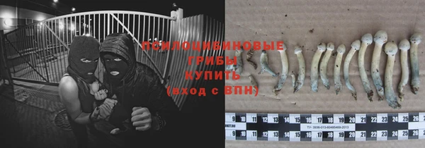 Альфа ПВП Аркадак