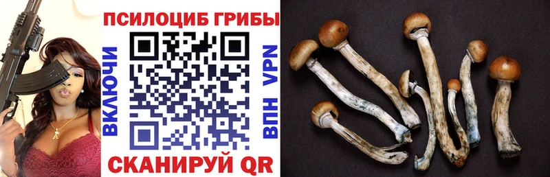 Псилоцибиновые грибы Magic Shrooms  Колпашево 